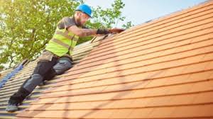 Best Rubber Roofing (EPDM, TPO)  in Spring Park, MN