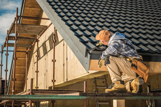 Best Asphalt Shingle Roofing  in Spring Park, MN