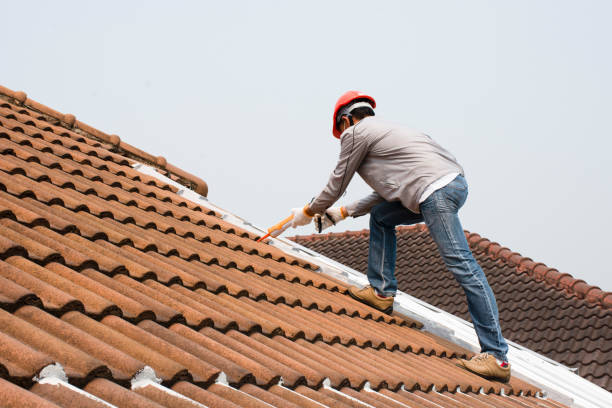 Best Roof Ventilation Installation  in Spring Park, MN