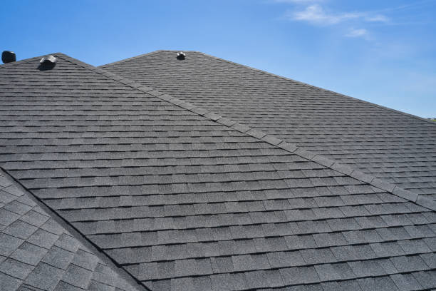Best Roof Coating Services  in Spring Park, MN